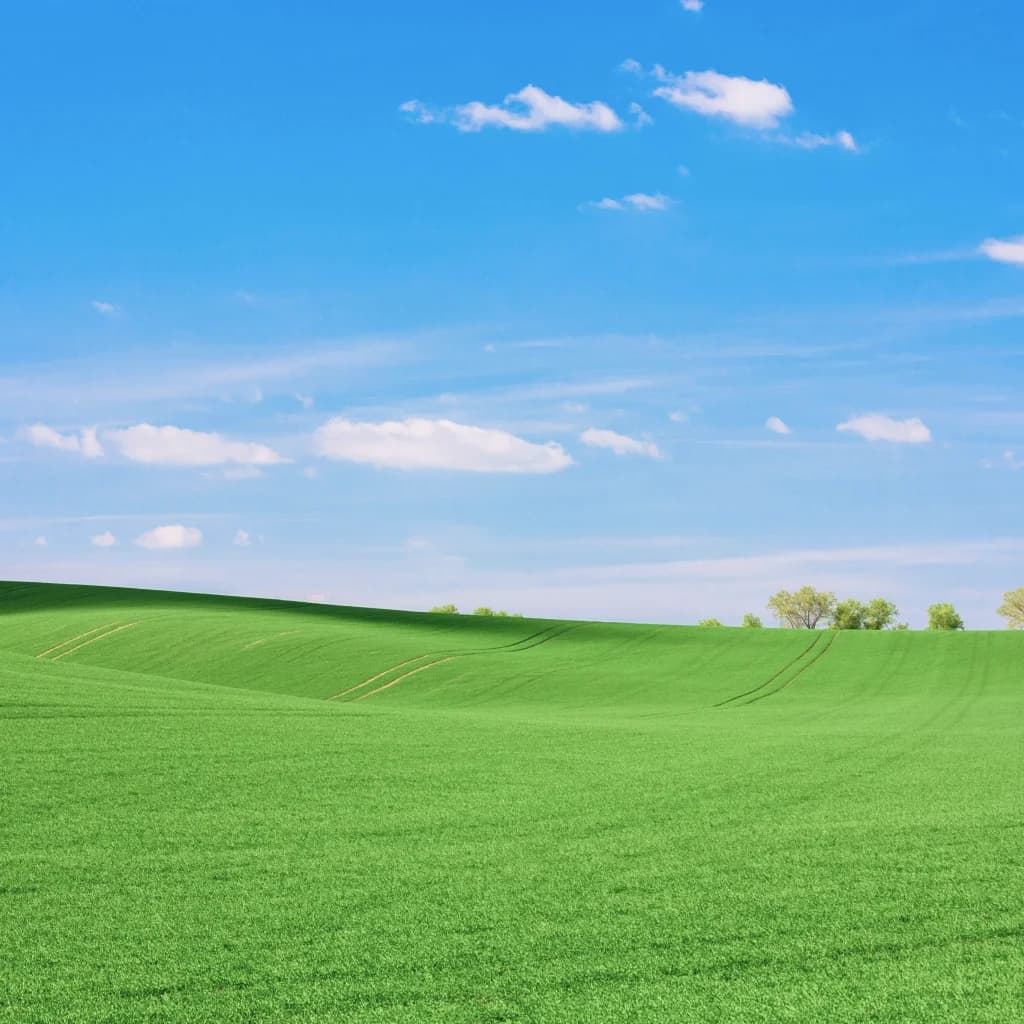 land mamoris categories photo