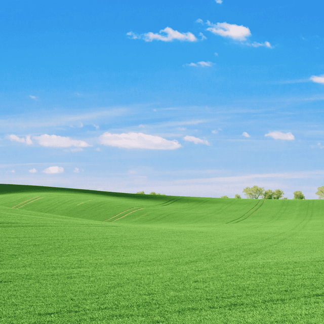 land mamoris categories photo